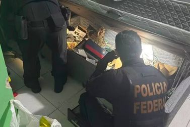 PF investiga armazenamento de material sobre abuso sexual infantojuvenil na regi&atilde;o