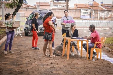 Nova etapa da vacina&ccedil;&atilde;o de pets em PA abrange bairros urbanos e rurais neste s&aacute;bado