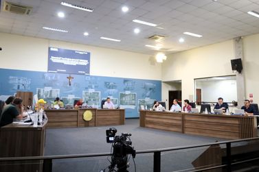Educa&ccedil;&atilde;o, seguran&ccedil;a, regulariza&ccedil;&atilde;o fundi&aacute;ria e economia popular na pauta da C&acirc;mara&nbsp;