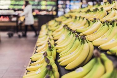 Líder nacional, São Paulo produz 26% da banana do País