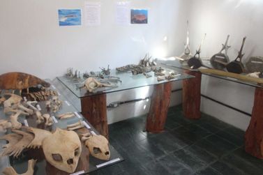 Centro Municipal de Educação Ambiental (CEA) na Ilha está aberto à visitação