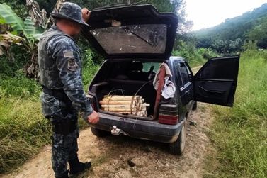 Transporte clandestino de palmito Jussara no Vale do Ribeira