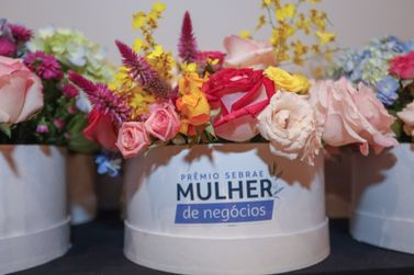 Prêmio Sebrae Mulher de Negócios está com inscrições abertas no Vale do Ribeira