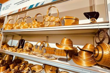 Sebrae-SP levará artesãos do Vale para o 19º Salão do Artesanato em SP