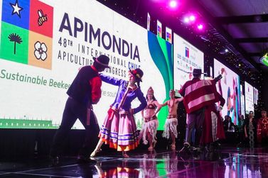Apicultores do Vale do Ribeira podem participar da Apimondia na Dinamarca