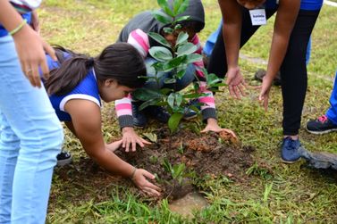 Plantio de 200 mudas celebrará o Dia Mundial da Árvore em Resende nesta quinta