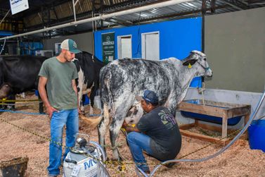 Resende &eacute; a primeira colocada no Estado na produ&ccedil;&atilde;o leiteira