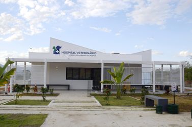 Hospital Veterin&aacute;rio de Resende registra mais de 180 mil atendimentos 