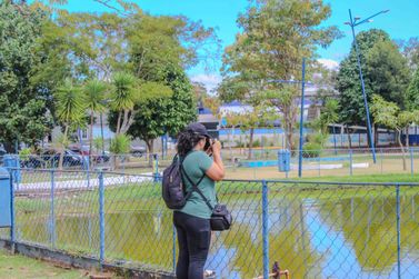 Inscri&ccedil;&otilde;es abertas para o Festival de Aves e Natureza das Agulhas Negras 2026