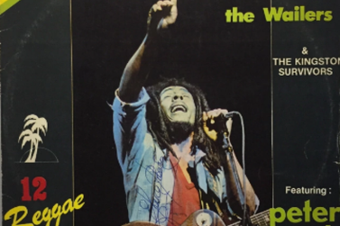 Projeto "Arte na Capa" celebra o rock e o reggae com exposi&ccedil;&atilde;o no MIS de Resende