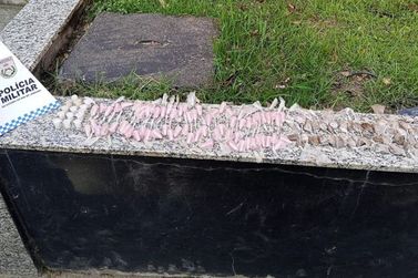 PM apreende tonel com drogas escondido dentro de mata em Resende
