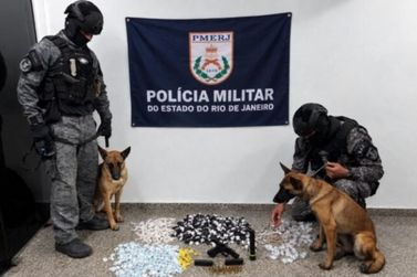 C&atilde;es farejadores auxiliam na apreens&atilde;o de drogas de arma, em Resende
