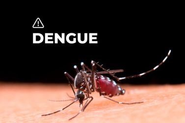 São Paulo decreta estado de emergência para Dengue