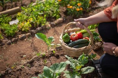 Secretaria da Saúde informa medidas essenciais que donos de hortas devem adotar