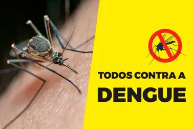 Mutirão contra a dengue continua nos bairros Centro e Bom Jesus I
