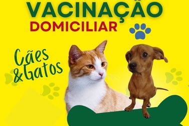Vacina&ccedil;&atilde;o domiciliar para c&atilde;es e gatos ser&aacute; realizada neste s&aacute;bado (06)