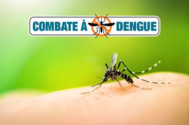 Combate &agrave; dengue: confira o cronograma de visitas em Rio das Pedras