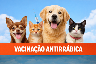 Rio das Pedras promove vacina&ccedil;&atilde;o antirr&aacute;bica gratuita para c&atilde;es e gatos