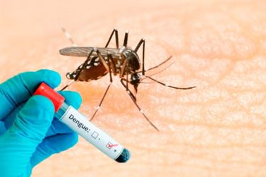Rio das Pedras registra queda nos casos de dengue em 2026