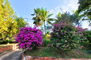 S&iacute;tio &agrave; venda - 300m&sup2; - Santa Izabel