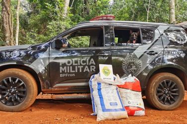 BPFRON apreende agrotóxicos contrabandeados em Pato Bragado