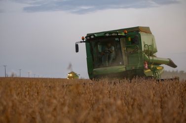 Paraná deve produzir 21,12 milhões de toneladas de grãos na safra de verão 23/24