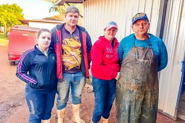 Dor no campo: após perder 32 vacas, família recebe apoio da comunidade; colabore