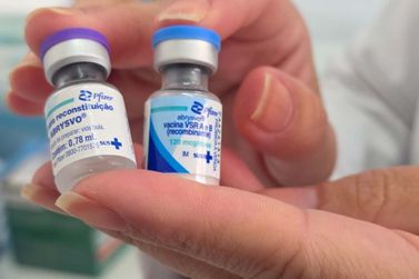 PR inicia vacina&ccedil;&atilde;o contra V&iacute;rus Respirat&oacute;rio 48 horas ap&oacute;s receber doses