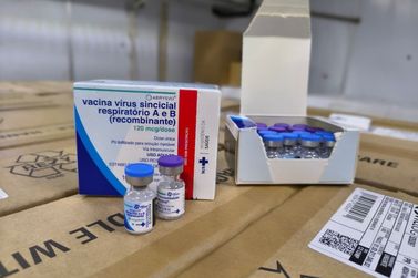 PR recebe primeiras vacinas contra o v&iacute;rus sincicial respirat&oacute;rio para gestantes