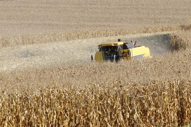 Paran&aacute; desponta como novo polo de etanol de milho com salto de 71% na produ&ccedil;&atilde;o 