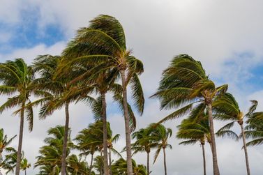 Santa Helena entra em alerta para ventos fortes e calor fora do padr&atilde;o no inverno