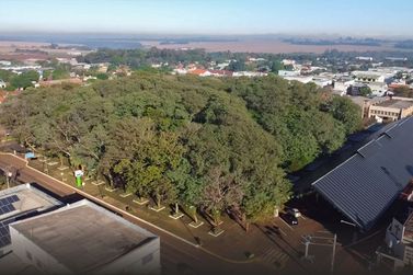Pato Bragado far&aacute; audi&ecirc;ncia p&uacute;blica sobre Plano Municipal de Arboriza&ccedil;&atilde;o Urbana