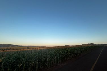 S&iacute;tio &agrave; venda - 100m&sup2; - Rural