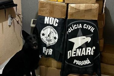 DENARC apreende 807 quilos de maconha em carreta durante opera&ccedil;&atilde;o em S&atilde;o Miguel 