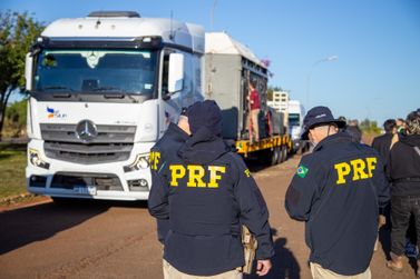PRF escolta elefanta Kenya em travessia do Paran&aacute; ao Mato Grosso 