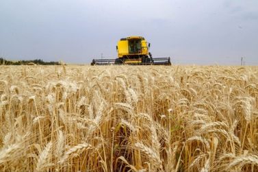 Secretaria da Agricultura orienta produtores do Paran&aacute; sobre Plano Safra