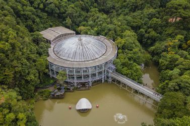 Paran&aacute; recebe mais de 303 mil turistas estrangeiros no in&iacute;cio de 2026