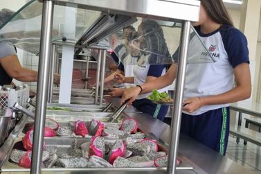 Pitaia amplia alimenta&ccedil;&atilde;o saud&aacute;vel nas escolas e fortalece agricultura familiar 