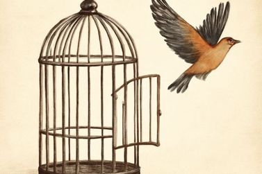 Luta Antimanicomial refor&ccedil;a cuidado com liberdade e respeito