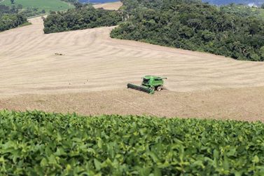     Paran&aacute; registra crescimento hist&oacute;rico na produ&ccedil;&atilde;o agropecu&aacute;ria