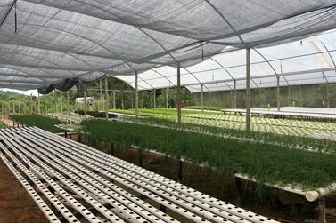 Custeio ajuda produtores a planejar a safra e manter a produ&ccedil;&atilde;o no campo