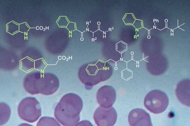 Cientistas da UFSCar e da USP criam novos compostos promissores para combater a mal&aacute;ria
