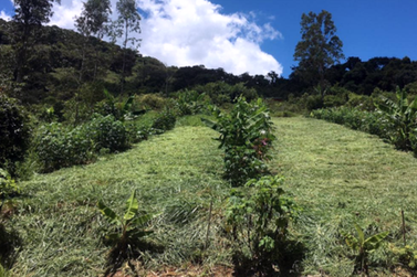 Projetos da UFSCar recebem quase R$ 900 mil do CNPq para fortalecer agroecologia na regi&atilde;o