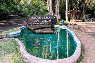 S&atilde;o Carlos realiza treinamento para resgate de animais em queimadas na Opera&ccedil;&atilde;o Corta Fogo