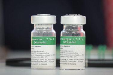Vacina&ccedil;&atilde;o contra a dengue &eacute; suspensa de forma preventiva em todo o pa&iacute;s