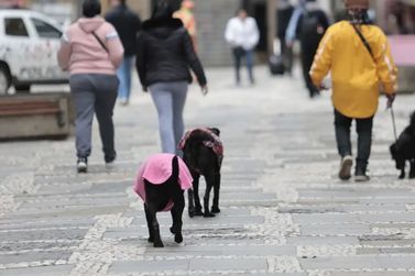 Alerta de frio intenso com m&iacute;nima de at&eacute; 5&deg;C em S&atilde;o Carlos e SP