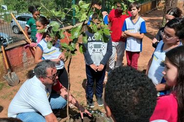 Escola em S&atilde;o Carlos promove plantio de &aacute;rvores no Dia da &Aacute;rvore