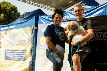 S&atilde;o Carlos abre agendamento presencial para 5&ordm; Mutir&atilde;o de Castra&ccedil;&atilde;o de Animais