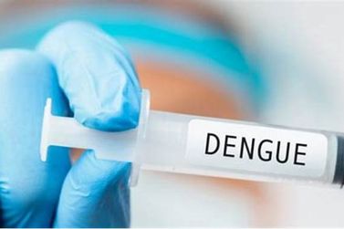 Brasil Recebe Primeira Remessa de Vacina Contra Dengue para Oferecer no SUS 