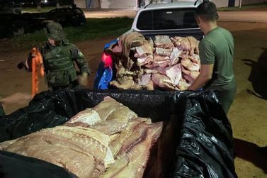 Comerciante é preso com uma tonelada de pirarucu no Distrito de São Domingos 